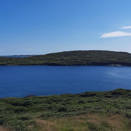 Conneelys Cottage, Connemara, Clifden, H71Y096 ภายนอก รูปภาพ